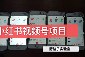 野路子实验室:小红书视频号1.0项目,直接上手操作就能赚钱的视频号项目