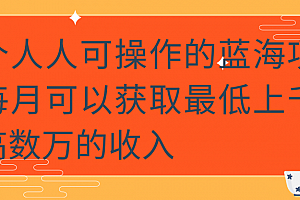 一个人人可操作的蓝海项目,每月可以获取最低上千,最高数万的收入