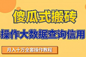搬砖操作大数据查询信用项目赚钱教程,祝你快速月入6万