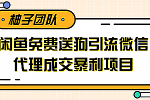 利用闲鱼免费送暴力吸粉,引流到微信代理成交暴利项目
