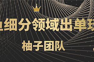 闲鱼细分领域暴力出单玩法,低成本轻松做到单号月入5000+