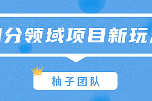 细分领域项目新玩法,特殊的赚钱思维打造一份巨额收入