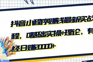 抖音小程序赚钱最新实战课程,0基础,实操+理论,有人已经日赚20000+