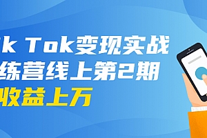 宅男龟课:Tik Tok变现实战训练营线上第2期:日入上百+美刀 月收益上万不成问题