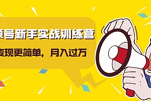 宅男龟课:视频号新手实战训练营,让变现更简单,玩赚视频号,轻松月入过万