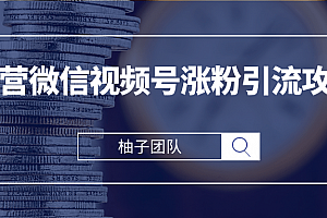 柚子团队内部课程:运营微信视频号涨粉引流攻略,轻松涨粉10W+