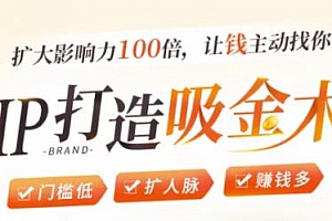 IP打造吸金术:0基础0资源,也能扩大影响力100倍,让钱主动找你!