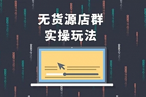 售价2980元无货源店群实操玩法,蓝海选品的独特思路,店群软件操作方法