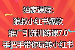 狼叔赚客会:小红书爆款推广引流训练课7.0,手把手带你玩转小红书