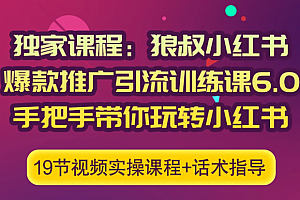 狼叔赚客会:小红书爆款推广引流训练课6.0,手把手带你玩转小红书