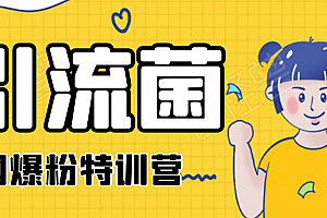 引流菌:2020全网爆粉特训营(QQ群霸屏,知乎引流,群裂变,自动化引流等)