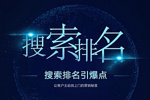 搜索排名引爆点:教你快速掌握各个搜索引擎排名算法,让客户主动找上你的秘笈
