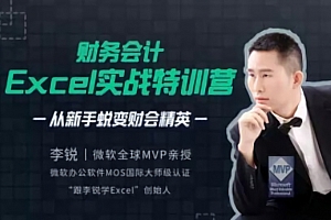 李锐财务会计Excel实战特训营