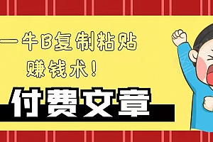 —牛B复制粘贴赚钱术!【付费文章】