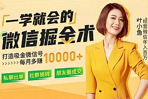 叶小鱼一学就会的微信掘金术,打造吸金微信号每月多赚1万