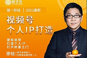 视频号个人IP打造,让赚钱变得更简单,打开财富之门