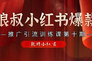 狼叔小红书爆款推广引流训练课第十期课程