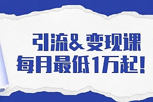引流&变现课:每月最低1万起!