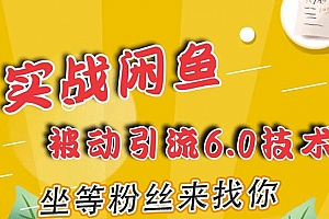 狼叔闲鱼引流6.0课程