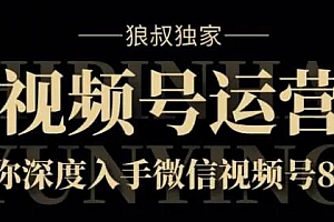 狼叔视频号8.0运营实战课