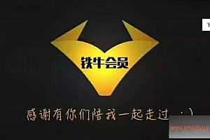 【铁牛人会员课】男人必备技能,理论讲解+实战高清视频