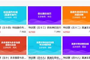 多多大师VIP拼多多运营培训课程