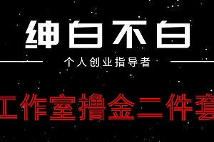 绅白不白·工作室撸金小红书头条项目
