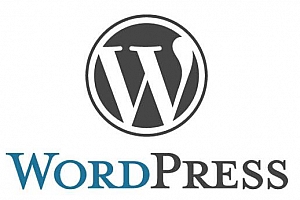 WordPress从零开始外贸建站视频教程课程