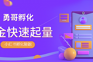 勇哥·小红书撸金快速起量陪跑孵化营视频