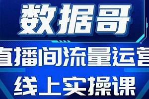 数据哥流量运营线上实操课