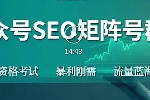 高鹏公众号SEO矩阵项目