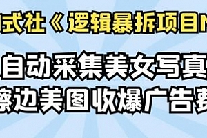懒人自动采集美女写真站,擦边美图收爆广告费