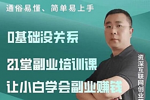 张磊·21堂副业培训课,让小白学会副业赚钱
