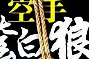 黑帽子抖音搬砖项目+南侠1987文章搬运项目