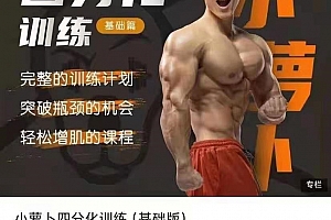 小萝卜四分化训练(基础版)