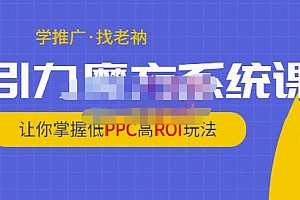 老衲引力魔方系统课,让你掌握低PPC高ROI玩法