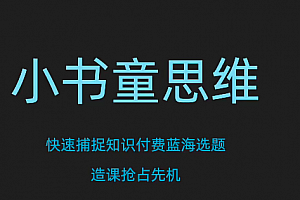 林雨小书童思维课,快速捕捉知识付费蓝海选题