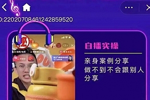 朱白板抖音带货进阶课