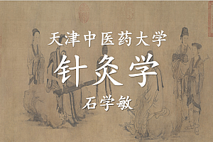 石学敏-针灸学 天津中医药大学 123讲