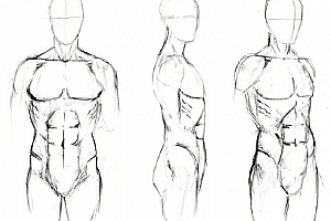 【小粉菇】人体骨骼肌肉理解篇之动漫人物绘画基础课程