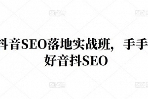 王通·抖音SEO落地实战班,手手带你做好抖音SEO