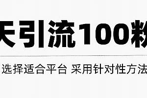 每天轻松获得100+精准粉丝的方法