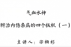 灵兰 宋柏杉 气血水神:辩治内伤杂病的“四个扳机”