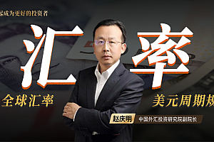 解码全球汇率·赵庆明 一门课读懂全球汇率背后的逻辑