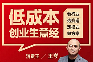 王岑:低成本创业生意经