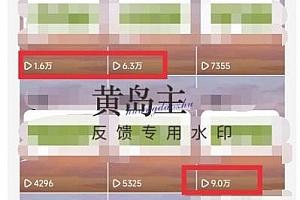 黄岛主:抖音情感中视频变现项目
