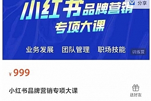 小红书品牌营销专项大课,操盘手进阶,品牌医生操盘手系列课程