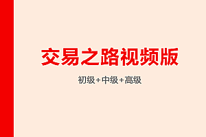 交易之路视频版(初中高级)