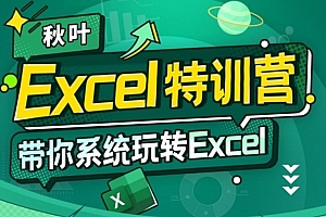 秋叶 Excel数据处理训练营