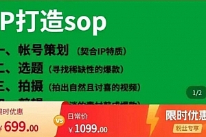 瑶瑶·自然流IP孵化,系统掌握IP孵化全流程